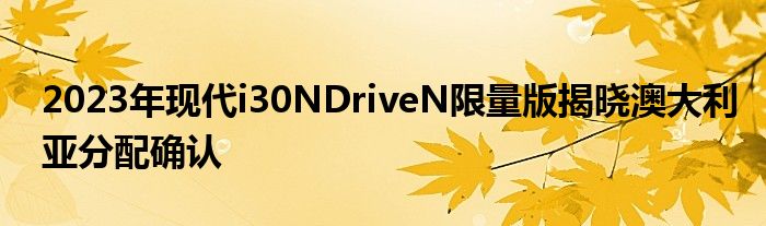 2023年现代i30NDriveN限量版揭晓澳大利亚分配确认(图1)