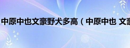 中原中也文豪野犬多高（中原中也 文豪野犬）