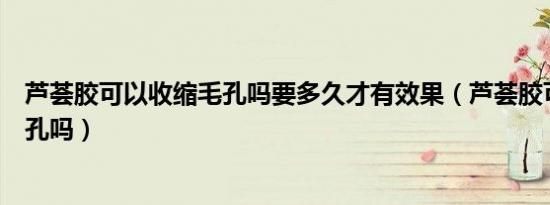 芦荟胶可以收缩毛孔吗要多久才有效果（芦荟胶可以收缩毛孔吗）