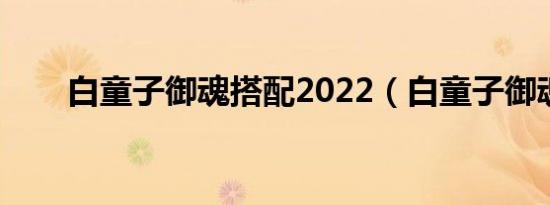 白童子御魂搭配2022（白童子御魂）