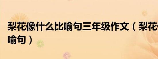 梨花像什么比喻句三年级作文（梨花像什么比喻句）