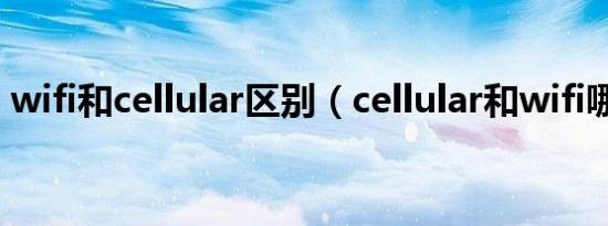 wifi和cellular区别（cellular和wifi哪个好）