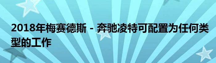 2018年梅赛德斯 - 奔驰凌特可配置为任何类型的工作(图1)