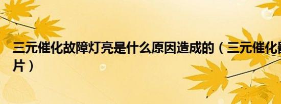 三元催化故障灯亮是什么原因造成的（三元催化器故障灯图片）