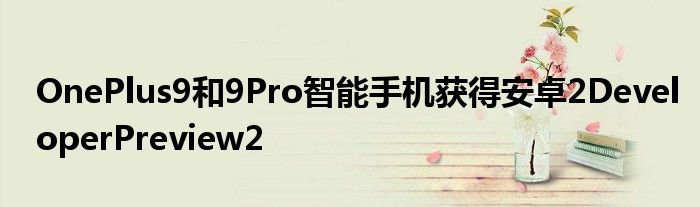 OnePlus9和9Pro智能手机获得安卓2DeveloperPreview2(图1)