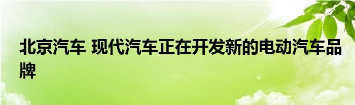 北京汽车 现代汽车正在开发新的电动汽车品牌(图1)