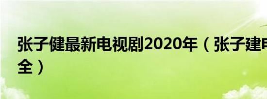 张子健最新电视剧2020年（张子建电视剧大全）