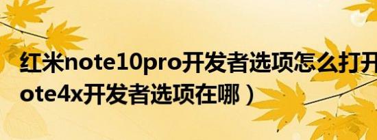 红米note10pro开发者选项怎么打开（红米note4x开发者选项在哪）