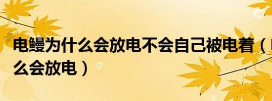 电鳗为什么会放电不会自己被电着（电鳗为什么会放电）