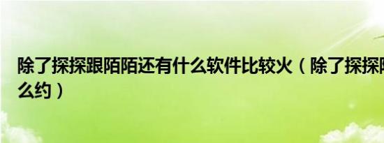 除了探探跟陌陌还有什么软件比较火（除了探探陌陌还有什么约）