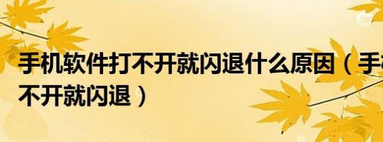 手机软件打不开就闪退什么原因（手机软件打不开就闪退）