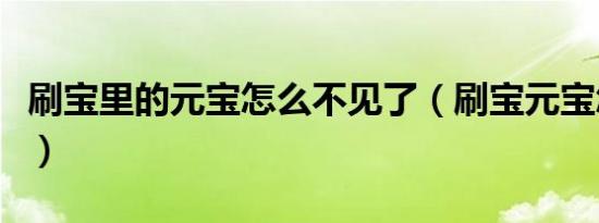 刷宝里的元宝怎么不见了（刷宝元宝怎么兑换）