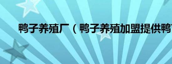 鸭子养殖厂（鸭子养殖加盟提供鸭苗）