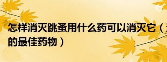 怎样消灭跳蚤用什么药可以消灭它（消灭跳蚤的最佳药物）