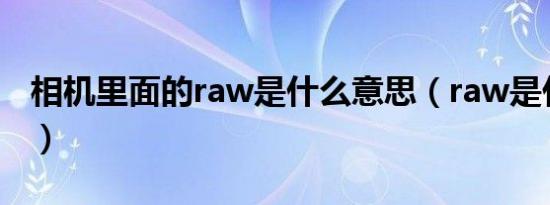 相机里面的raw是什么意思（raw是什么意思）