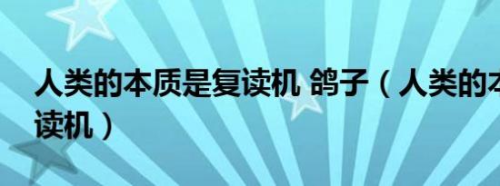 人类的本质是复读机 鸽子（人类的本质是复读机）