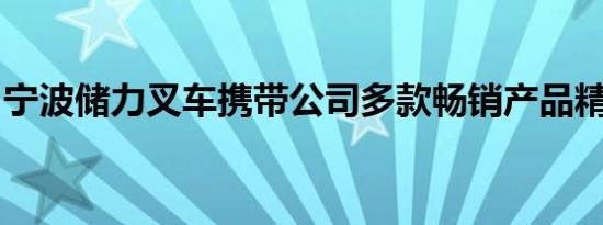 宁波储力叉车携带公司多款畅销产品精彩亮相