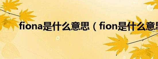 fiona是什么意思（fion是什么意思）