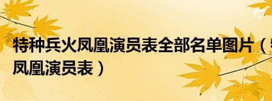 特种兵火凤凰演员表全部名单图片（特种兵火凤凰演员表）