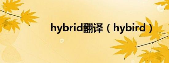 hybrid翻译（hybird）