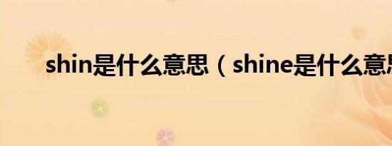 shin是什么意思（shine是什么意思）