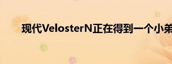 现代VelosterN正在得到一个小弟弟