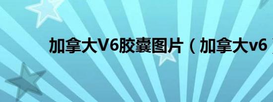 加拿大V6胶囊图片（加拿大v6）