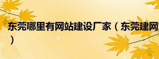 东莞哪里有网站建设厂家（东莞建网站的公司）