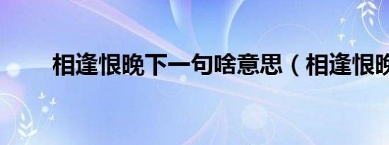 相逢恨晚下一句啥意思（相逢恨晚）