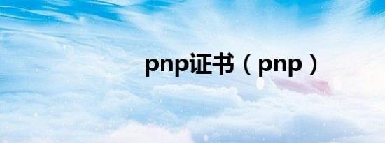 pnp证书（pnp）