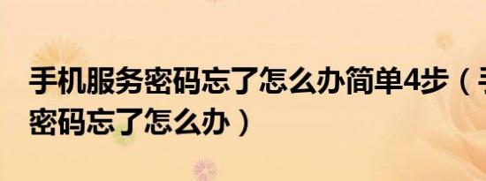 手机服务密码忘了怎么办简单4步（手机服务密码忘了怎么办）