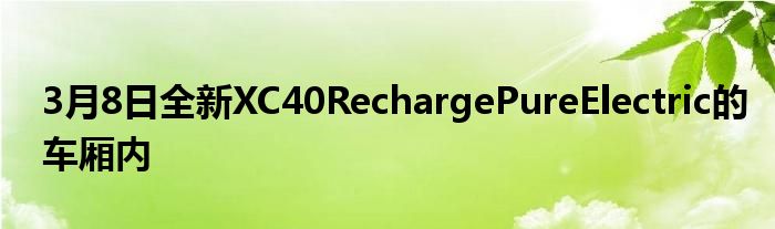 3月8日全新XC40RechargePureElectric的车厢内(图1)