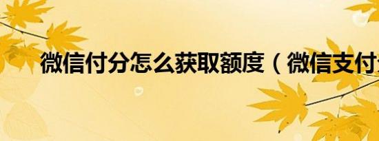 微信付分怎么获取额度（微信支付分）