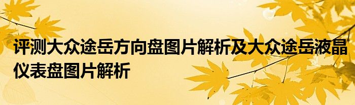 评测大众途岳方向盘图片解析及大众途岳液晶仪表盘图片解析(图1)