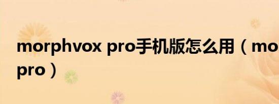 morphvox pro手机版怎么用（morphvox pro）