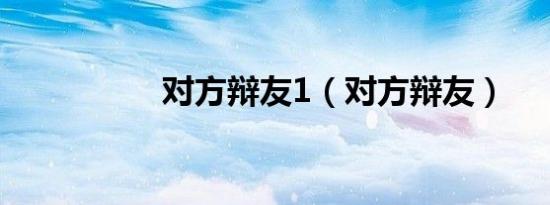 对方辩友1（对方辩友）