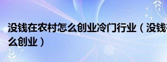 没钱在农村怎么创业冷门行业（没钱在农村怎么创业）