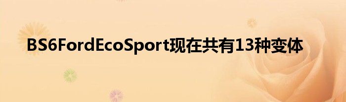 BS6FordEcoSport现在共有13种变体(图1)