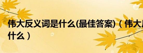 伟大反义词是什么(最佳答案)（伟大反义词是什么）