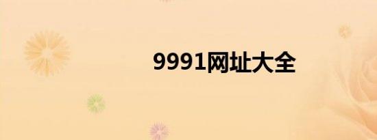 9991网址大全