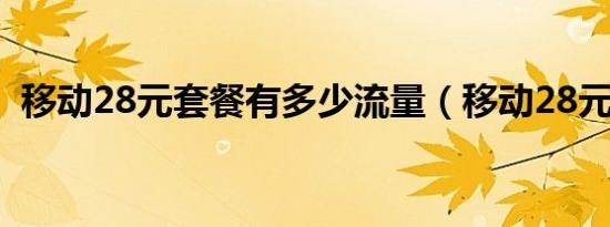 移动28元套餐有多少流量（移动28元套餐）