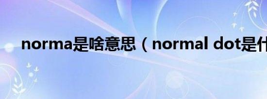 norma是啥意思（normal dot是什么）