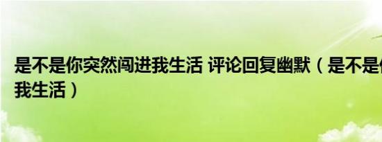 是不是你突然闯进我生活 评论回复幽默（是不是你突然闯进我生活）