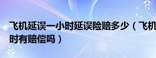 飞机延误一小时延误险赔多少（飞机延误2小时有赔偿吗）