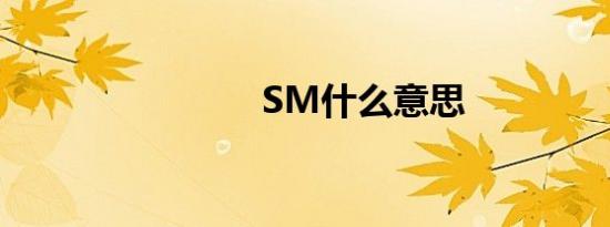 SM什么意思