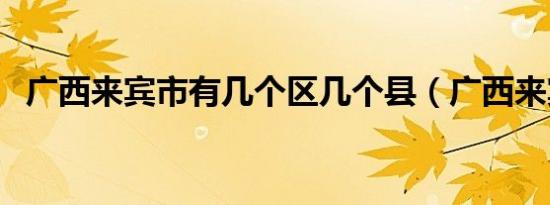 广西来宾市有几个区几个县（广西来宾市）