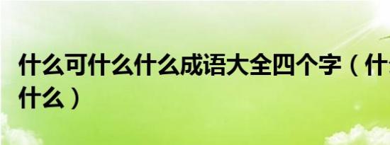 什么可什么什么成语大全四个字（什么可什么什么）