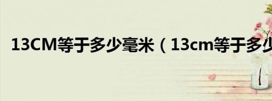 13CM等于多少毫米（13cm等于多少dm）