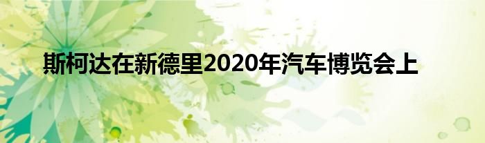 斯柯达在新德里2020年汽车博览会上(图1)