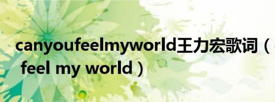 canyoufeelmyworld王力宏歌词（can you feel my world）